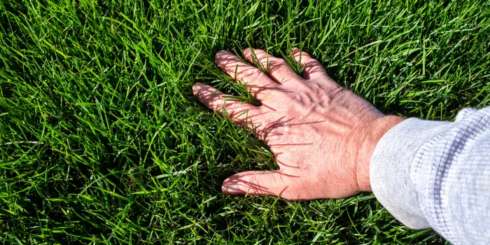 master-lawn-care-mowing-fertilizing-beyond