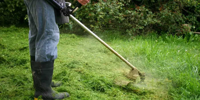 eco-friendly-solutions-for-lawn-weed-and-pest-control