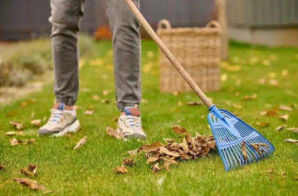 Spring Cleanup1